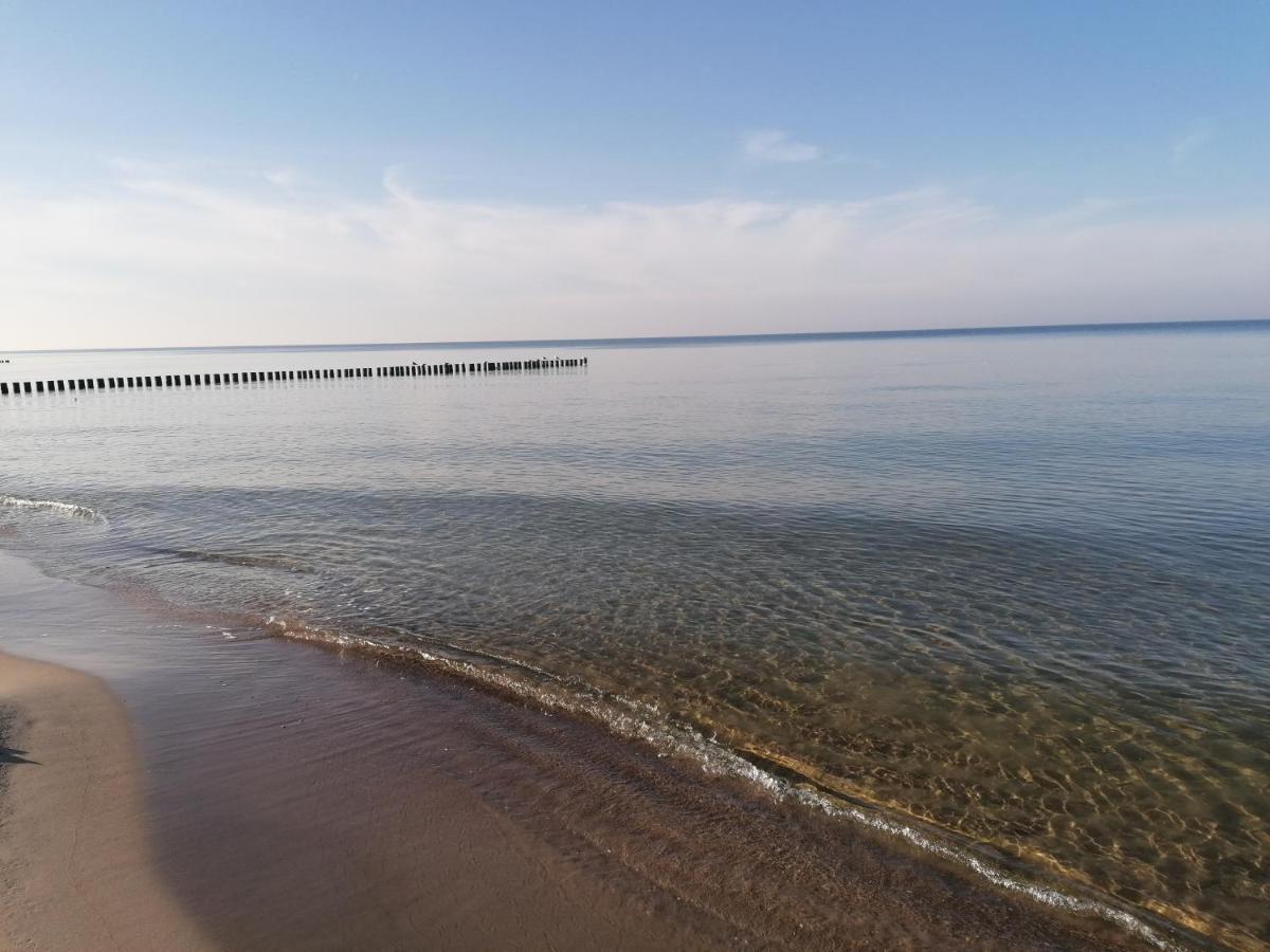 Apartament Alga Klifowa Реваль Экстерьер фото